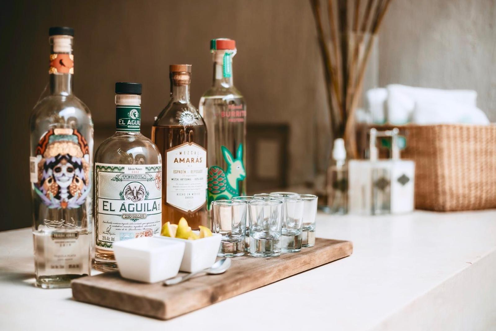 The Diplomat Boutique Hotel เมริดา ภายนอก รูปภาพ