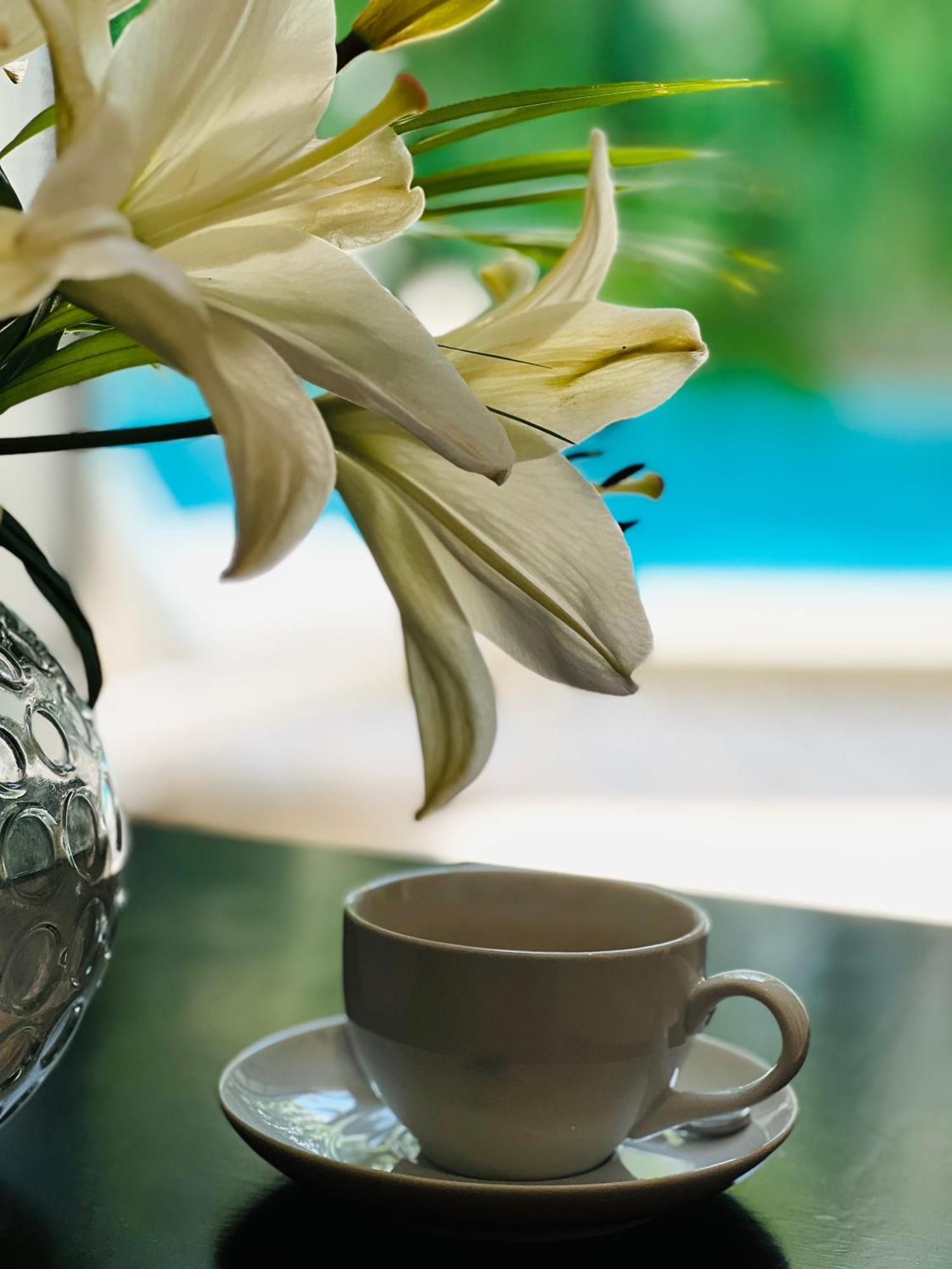 The Diplomat Boutique Hotel เมริดา ภายนอก รูปภาพ
